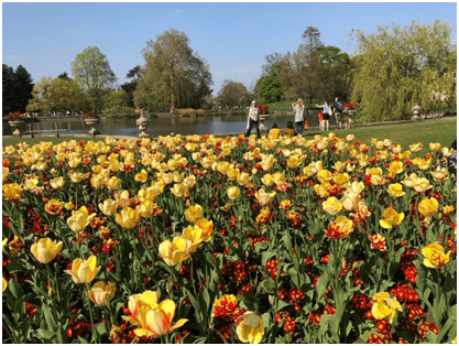 Morando fora, em Londres, parque, flores