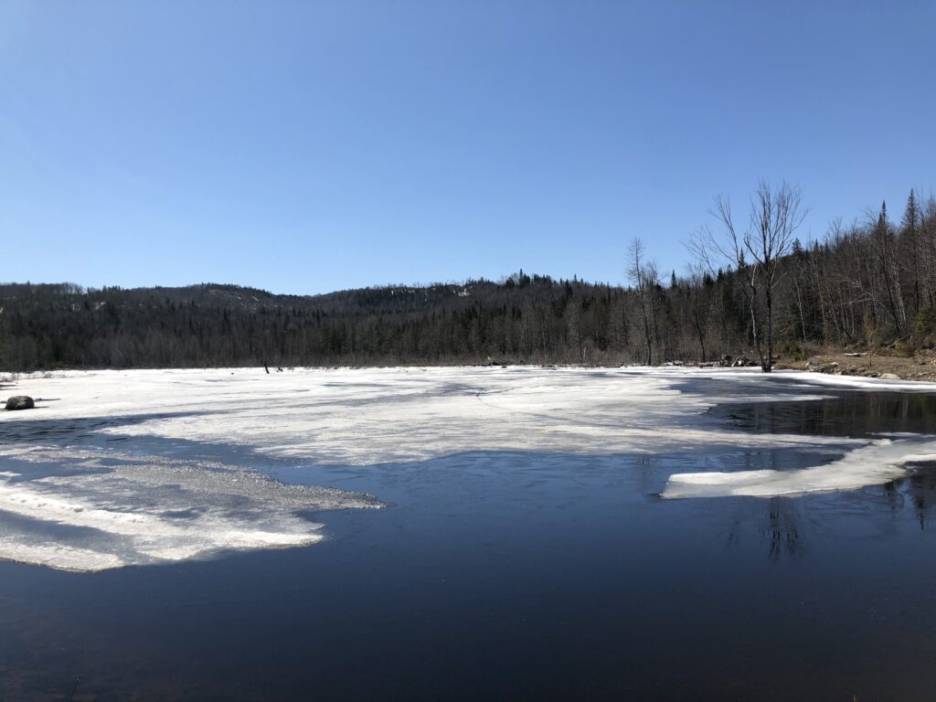 Gelo e a neve em processo de derretimento sobre o lago pertinho aqui de casa 