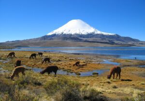 Chile país dos Vulcões