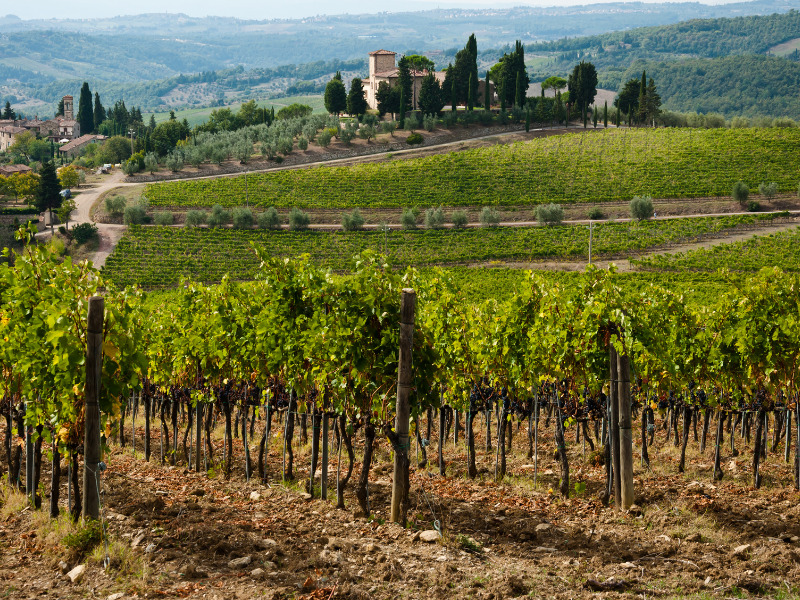 Viajar em Chianti na Itália