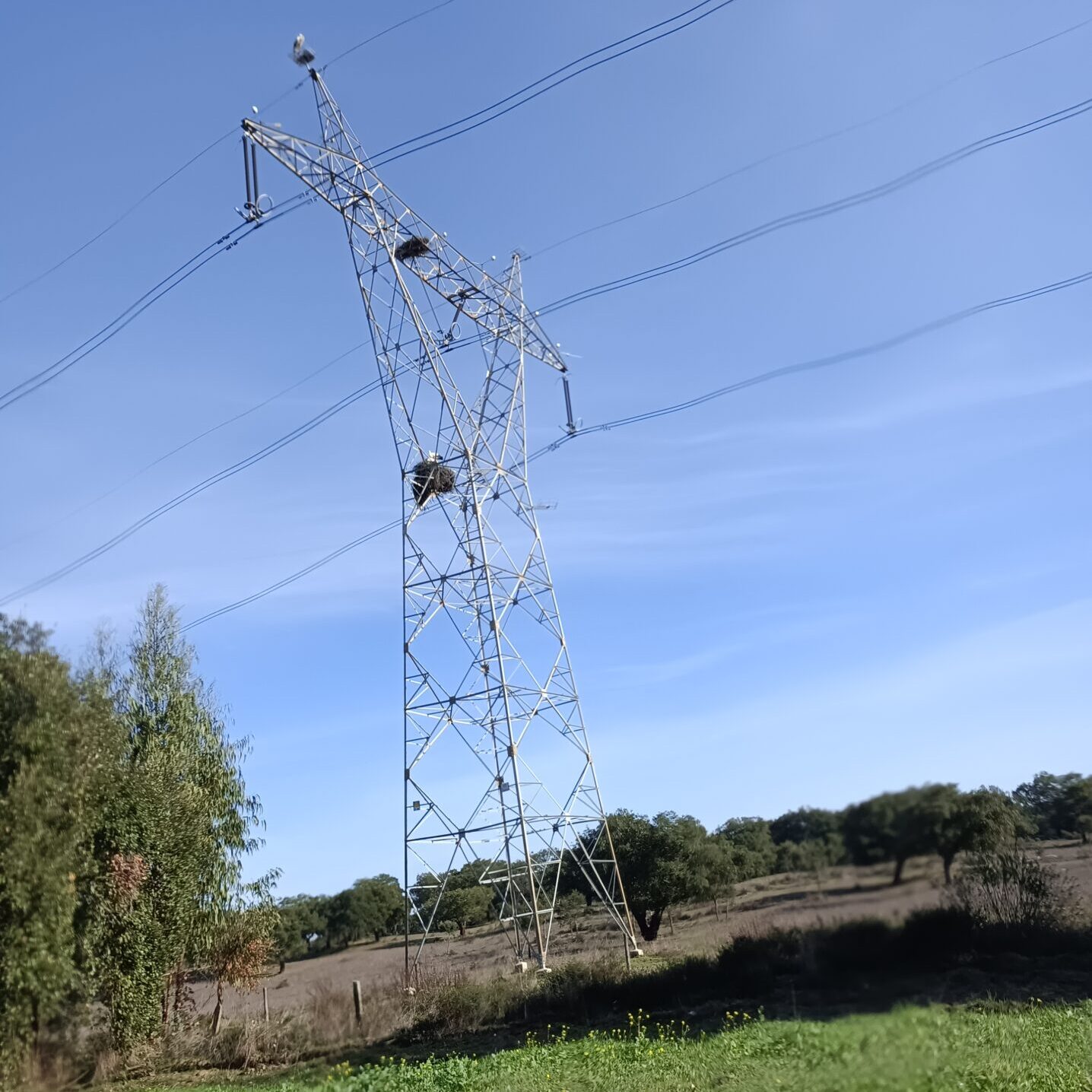 eletricidade em Portugal