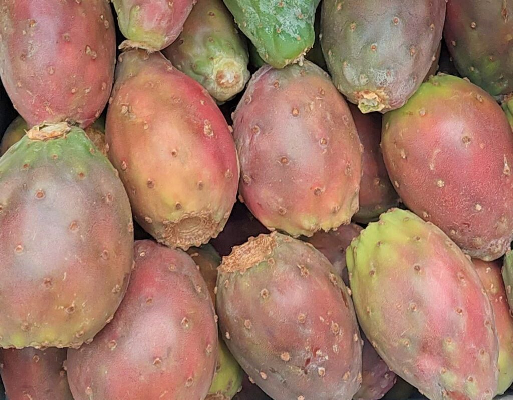 frutas típicas do Peru