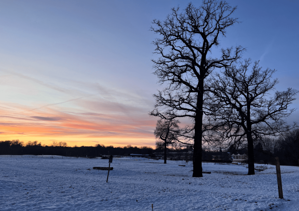 Parque do hipódromo de Bruxelas coberto de neve na Bélgica