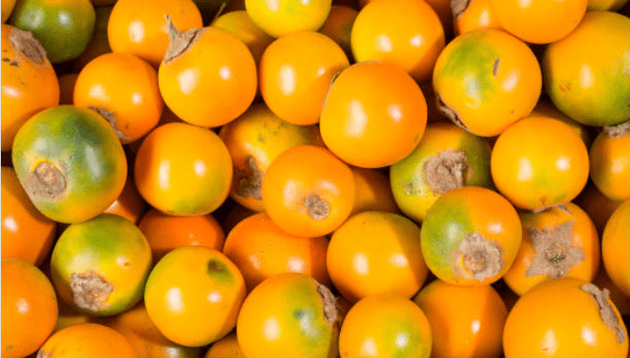 Lulo é uma fruta refrescante e que faz parte da grande diversidade de comidas colombianas.