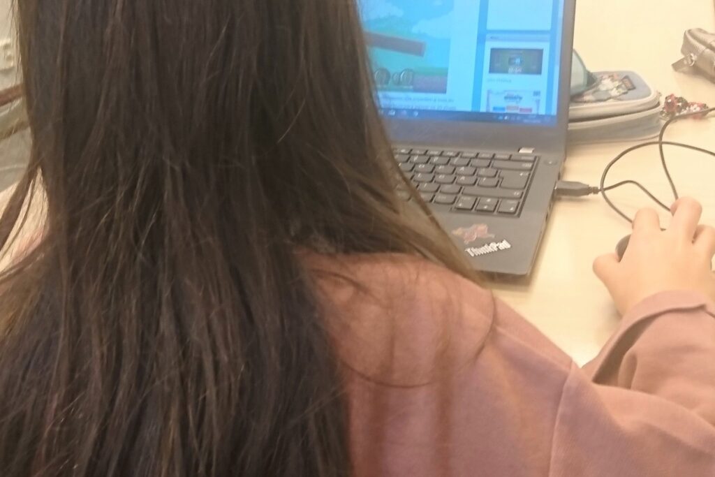 Depois de muitos debates, o ensino finlandês foi adaptado para o método online.