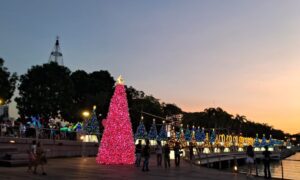 A magia do Natal é contagiante.