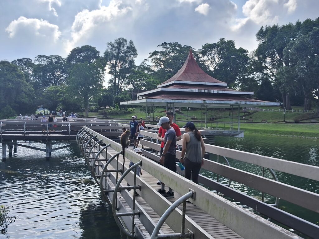 Os passeios com crianças pela natureza são uma boa pedida para os dias mais frescos.