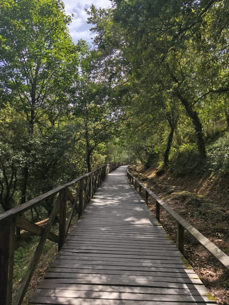 Criar uma rotina ajuda a enfrentar a ansiedade durante a adaptação cultural ao novo país.