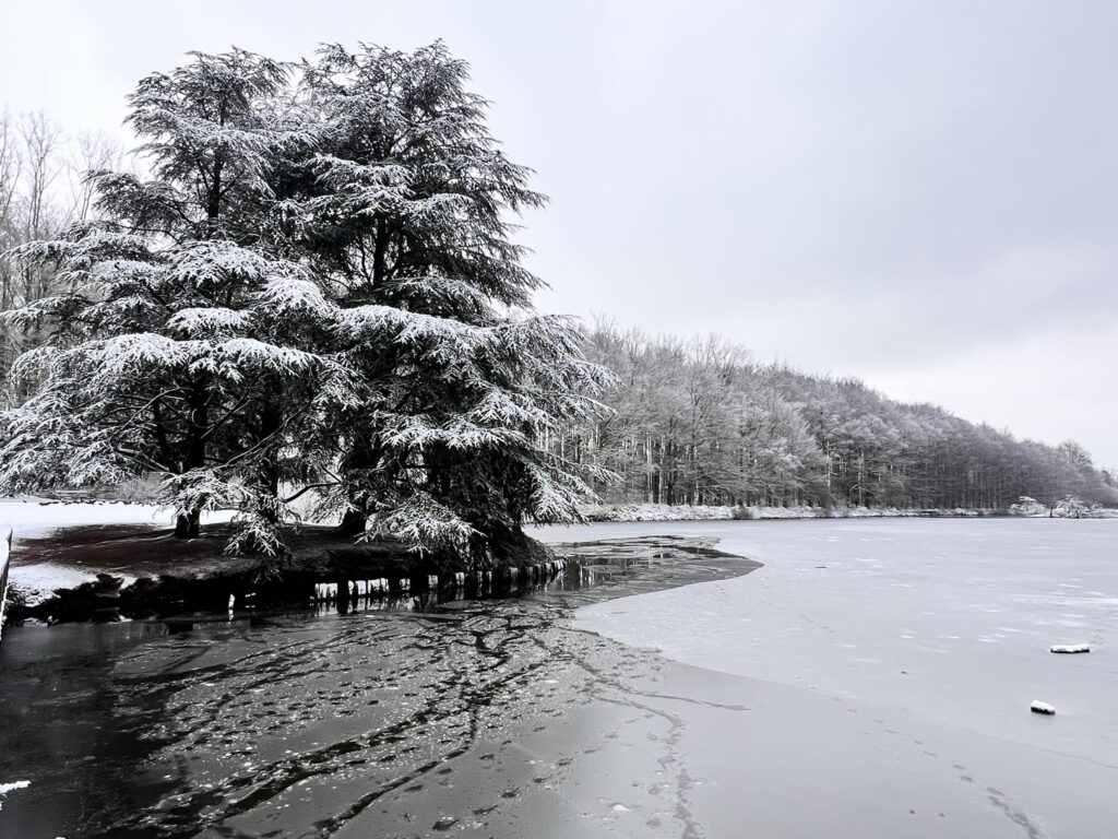 O visual dos parque após a nevasca em Bruxelas atraiu a atenção dos fotógrafos.