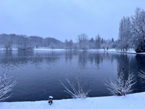 A nevasca que aconteceu em janeiro em Bruxelas reavivou memórias e trouxe um novo visual à cidade.