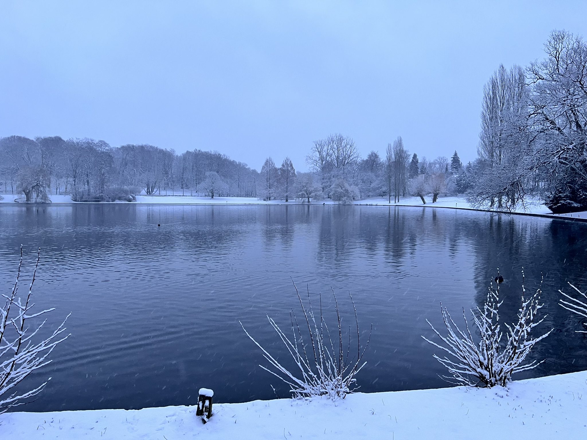 A nevasca que aconteceu em janeiro em Bruxelas reavivou memórias e trouxe um novo visual à cidade.