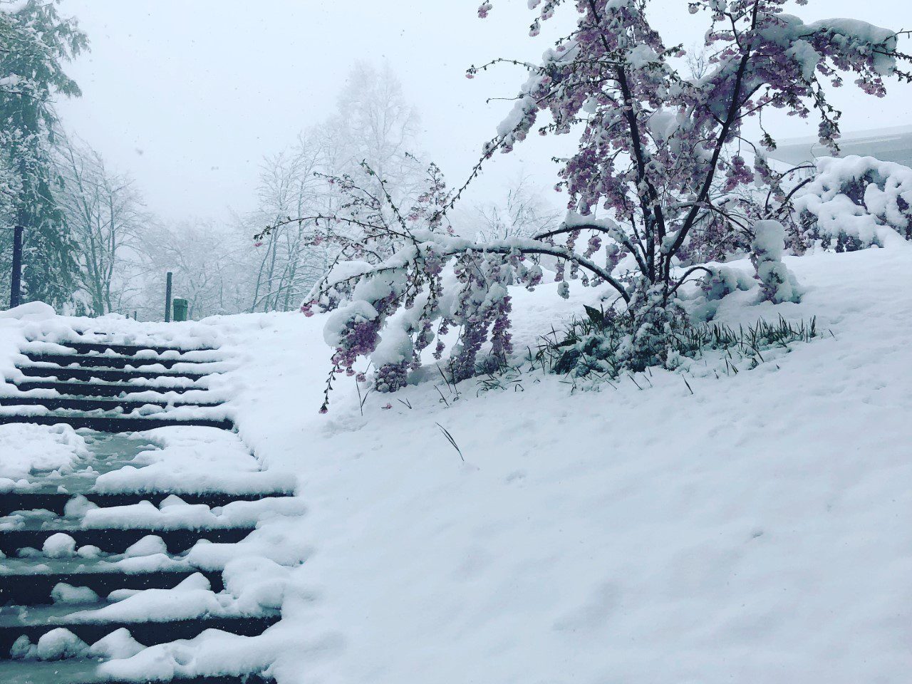 inverno