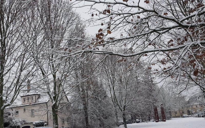 O frio na Europa chegou! E agora? - arquivo pessoal