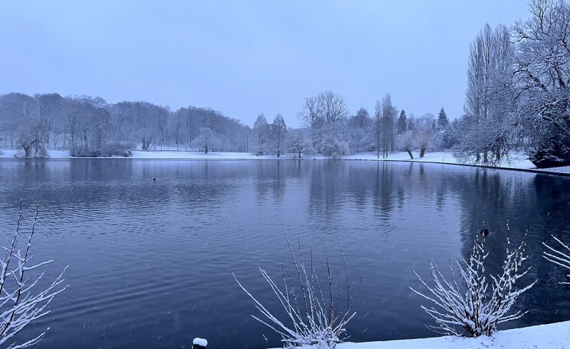 A nevasca que aconteceu em janeiro em Bruxelas reavivou memórias e trouxe um novo visual à cidade.