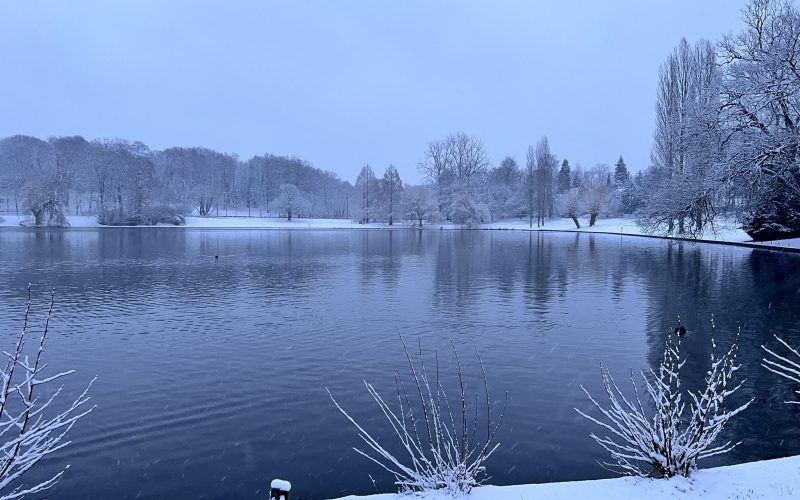 A nevasca que aconteceu em janeiro em Bruxelas reavivou memórias e trouxe um novo visual à cidade.