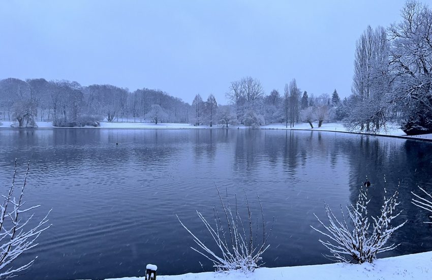 A nevasca que aconteceu em janeiro em Bruxelas reavivou memórias e trouxe um novo visual à cidade.
