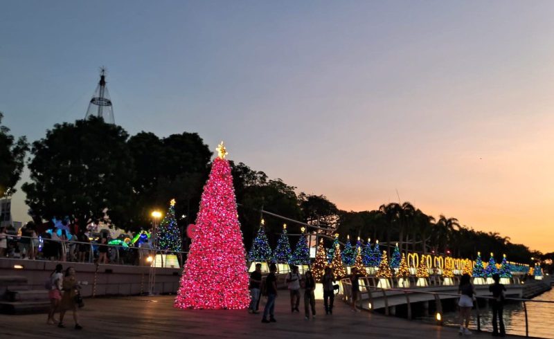 A magia do Natal é contagiante.