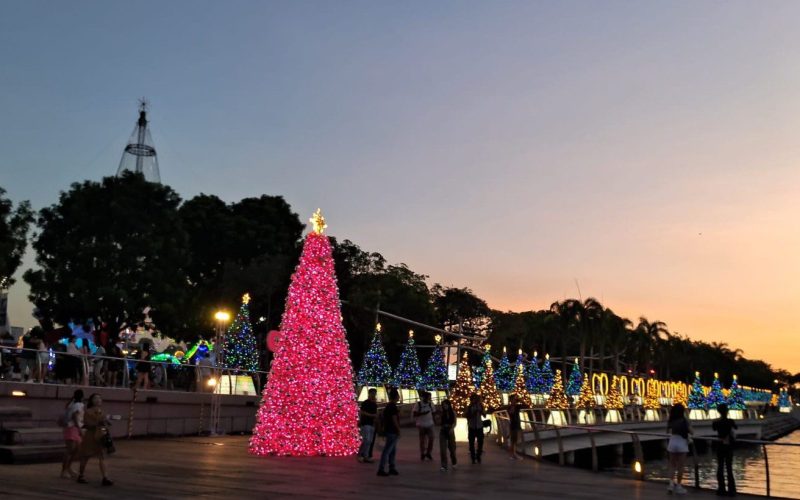 A magia do Natal é contagiante.