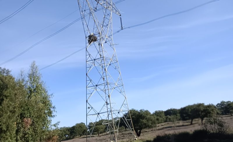 eletricidade em Portugal