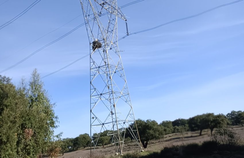 eletricidade em Portugal