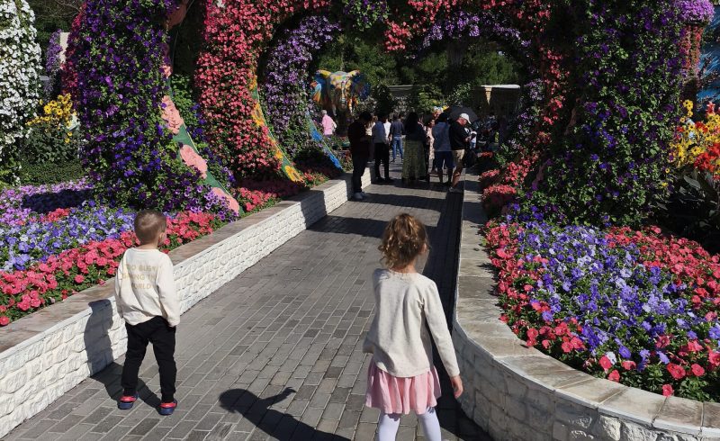 Uma das áreas "instagramáveis" do Miracle Garden - Imagem: Arquivo Pessoal