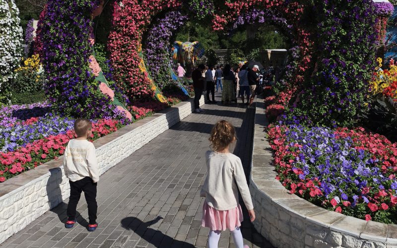 Uma das áreas "instagramáveis" do Miracle Garden - Imagem: Arquivo Pessoal