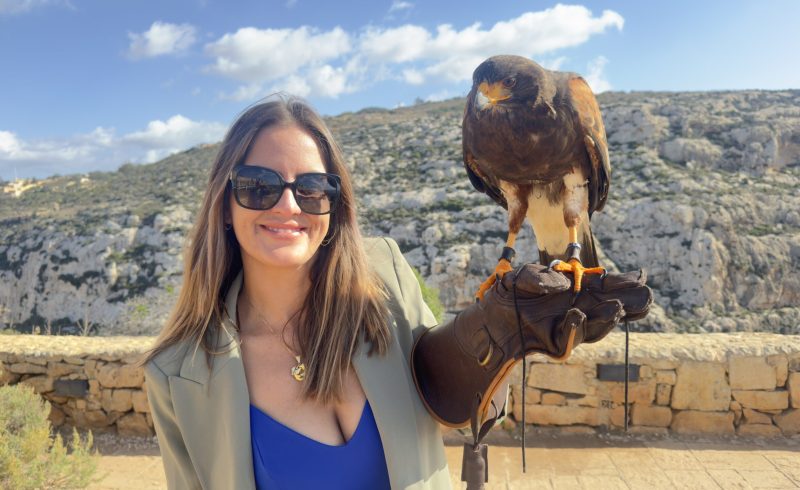 Brasileira e maltesa - minha vida se reescrevendo