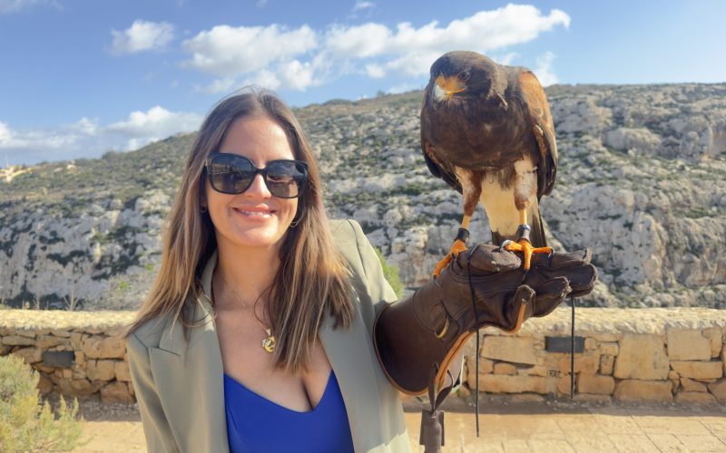 Brasileira e maltesa - minha vida se reescrevendo