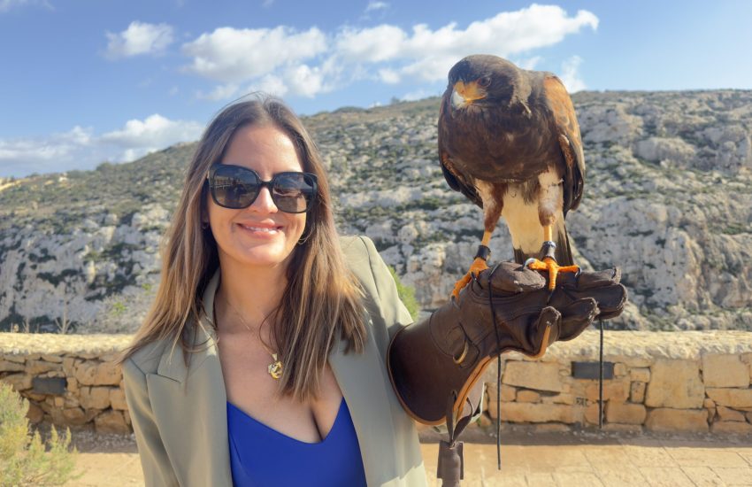 Brasileira e maltesa - minha vida se reescrevendo