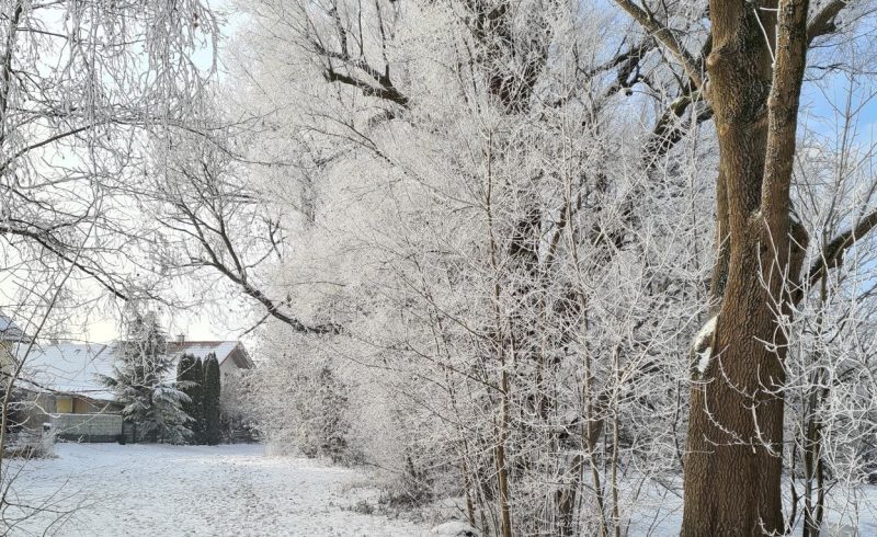 Inverno na Baviera