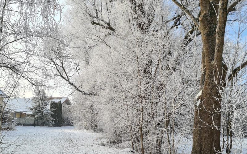 Inverno na Baviera