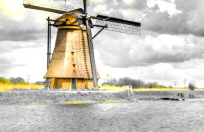 Moinhos na Holanda -Diário de uma Expatriada