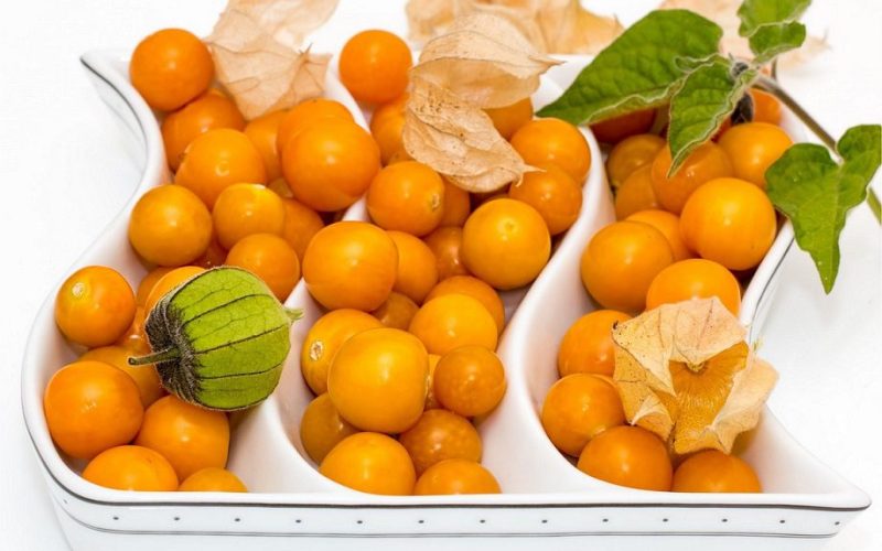 frutas típicas do Peru