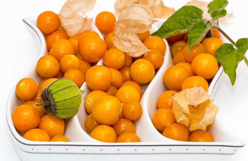 frutas típicas do Peru