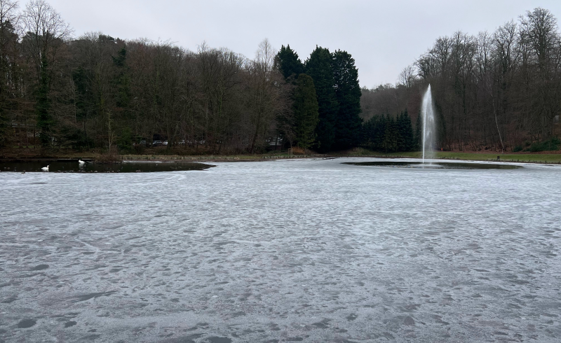 Neste artigo, exploraremos como é a neve na Bélgica, quando é comum ocorrer e quais são as experiências que ela proporciona.