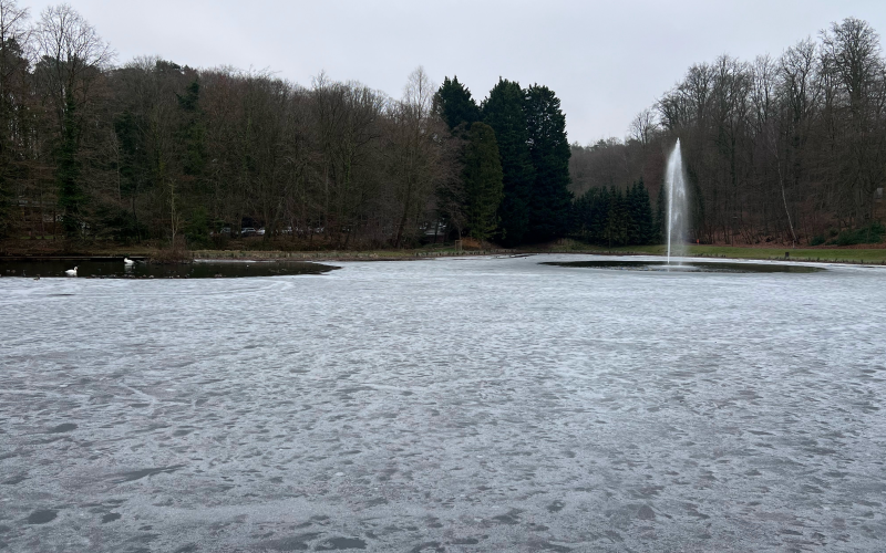 Neste artigo, exploraremos como é a neve na Bélgica, quando é comum ocorrer e quais são as experiências que ela proporciona.