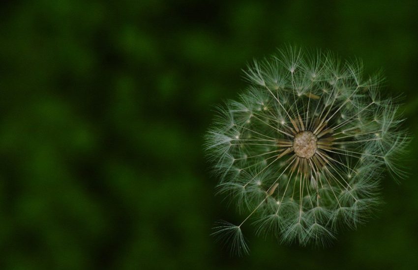 o luto da expatriação